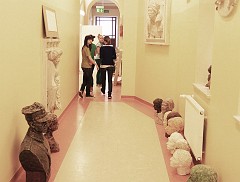 IMG_7206