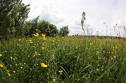 IMG_5464