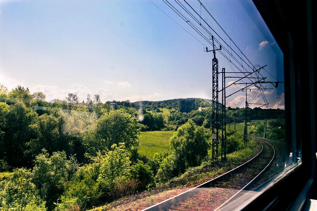 IMG_2731.jpg