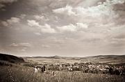 IMG_3240