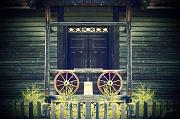kangur_2012_05