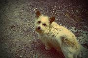 kangur_2012_06