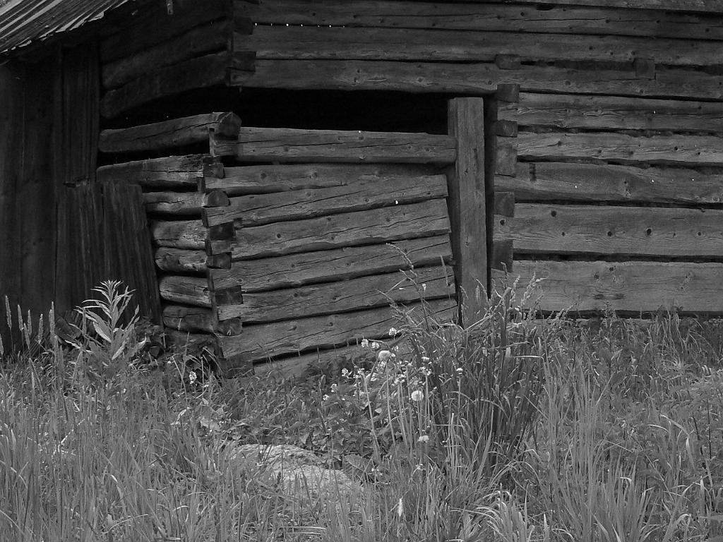 P1140250.JPG