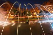 IMG_6316