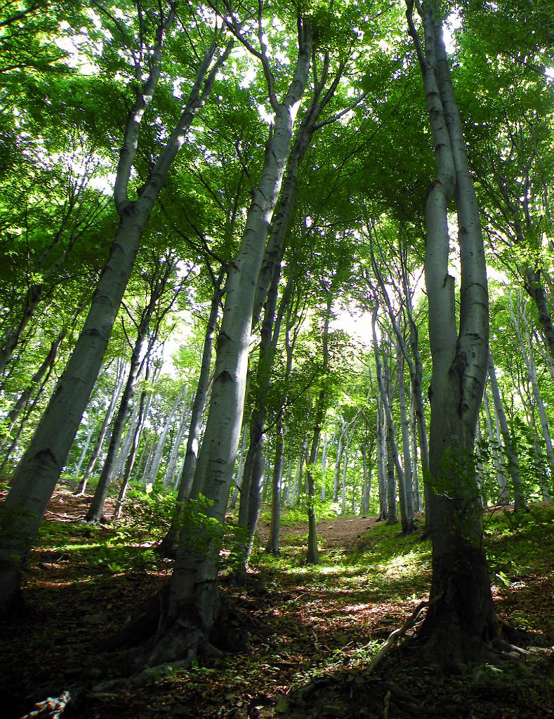 DSCN0908.JPG