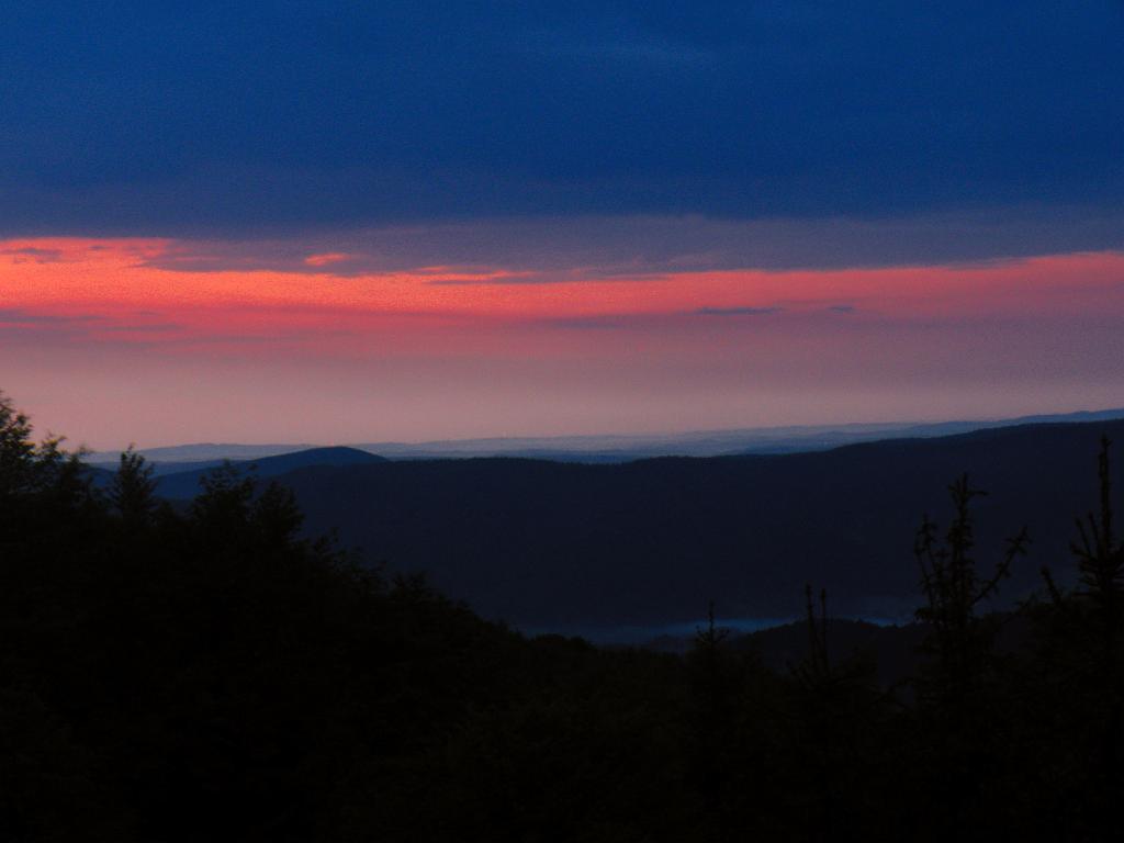 DSCN1184.JPG