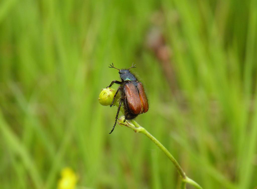 DSCN1649.JPG