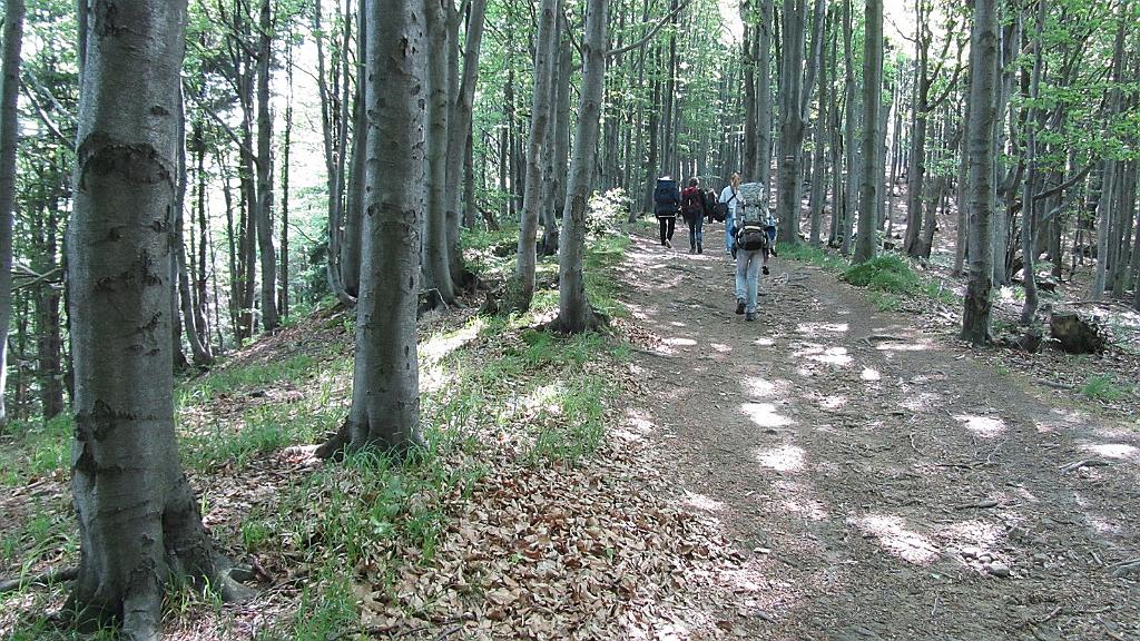 IMG_3126.JPG