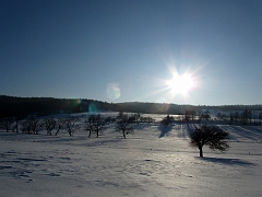 beata_4