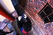 IMG_6680