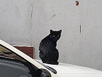 20161028 111413