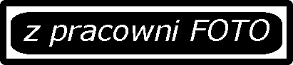 link9